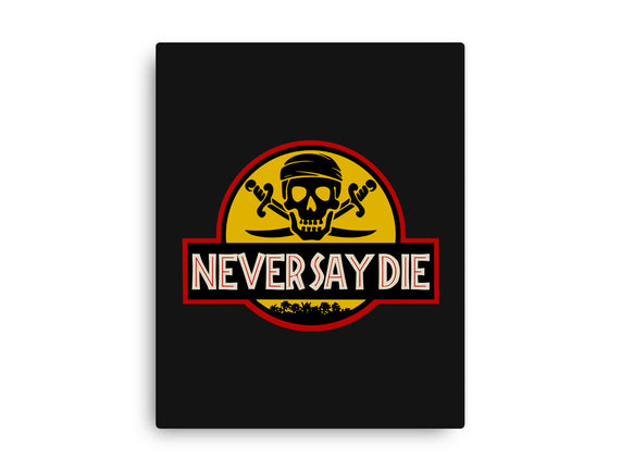 Never Say Die Park