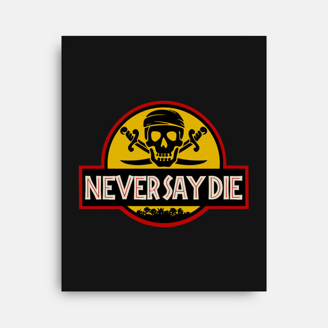 Never Say Die Park-none stretched canvas-Melonseta
