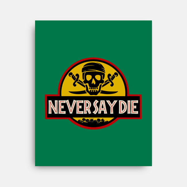 Never Say Die Park-none stretched canvas-Melonseta