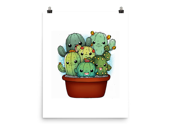 Cactus Family