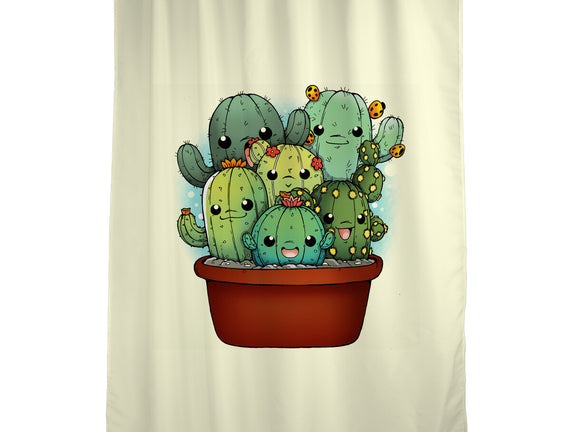 Cactus Family