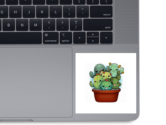 Cactus Family