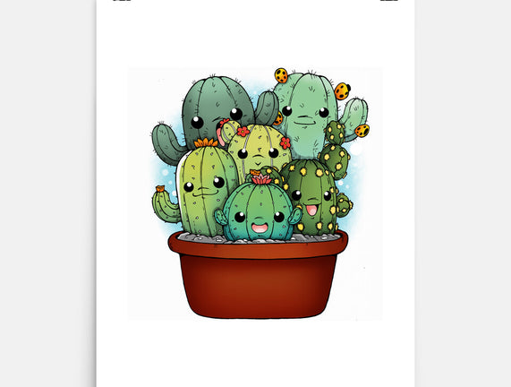 Cactus Family
