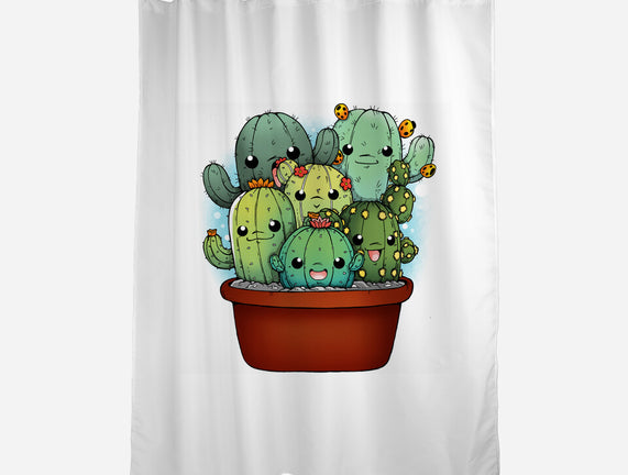 Cactus Family