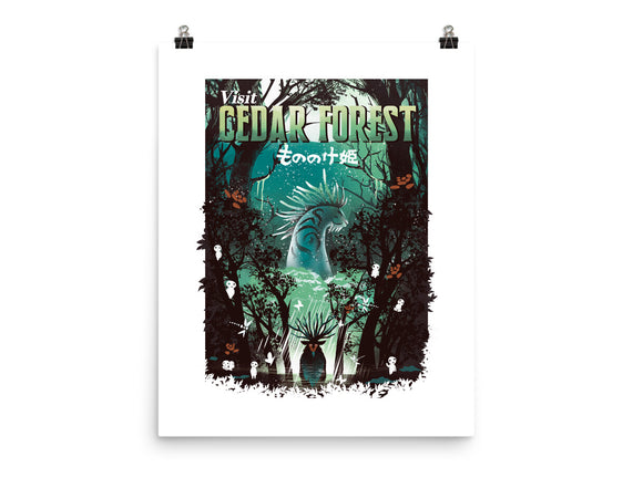 Visit Cedar Forest