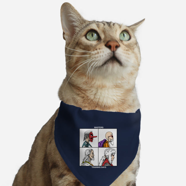 Training Days-cat adjustable pet collar-joerawks