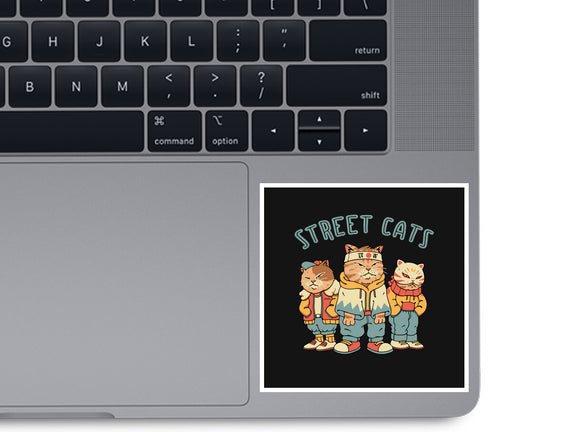 Street Cats