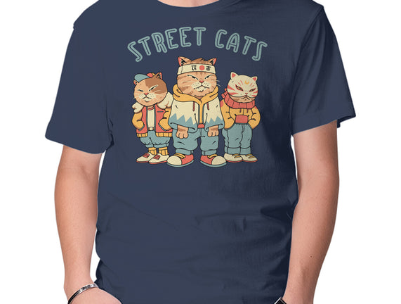 Street Cats