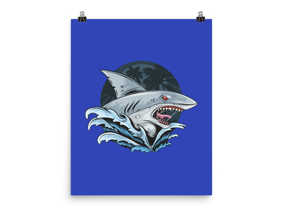 Shark Rage