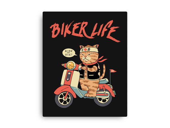 Motor Cat