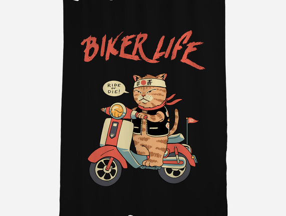 Motor Cat