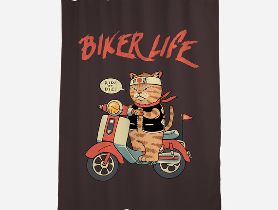 Motor Cat