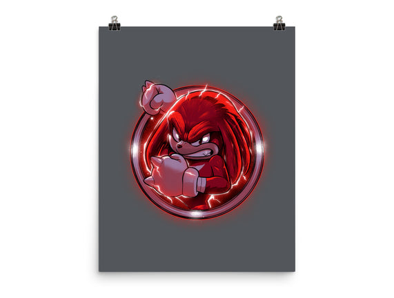 The Echidna