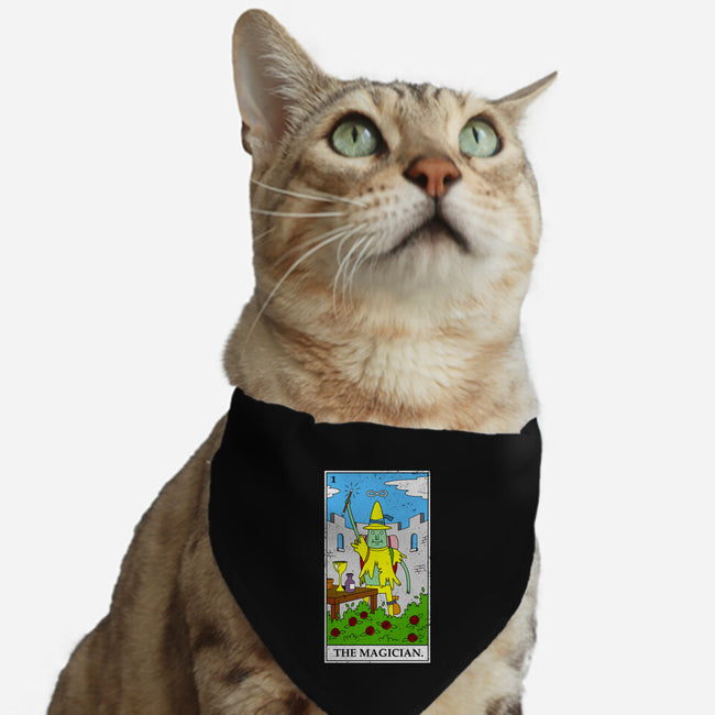 Adventure Magician-cat adjustable pet collar-drbutler