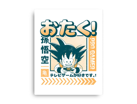 Otaku Hero