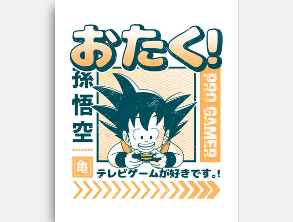 Otaku Hero