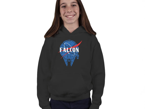 Falcon Nasa