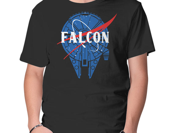 Falcon Nasa