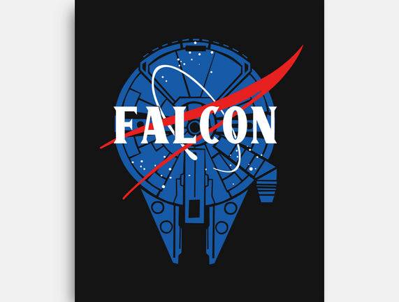 Falcon Nasa