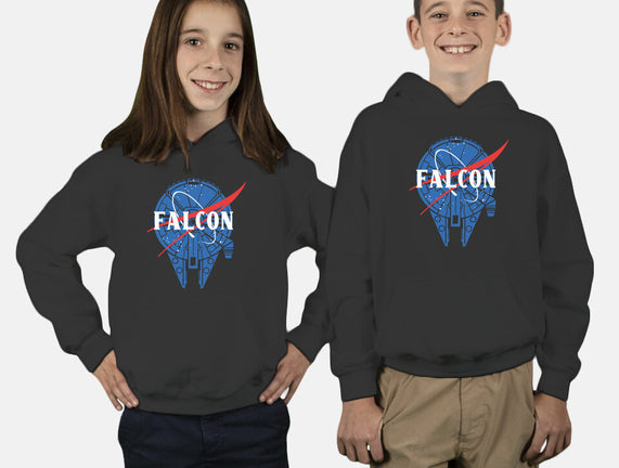 Falcon Nasa