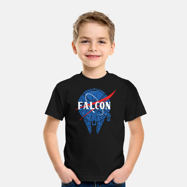 Falcon Nasa-youth basic tee-Melonseta