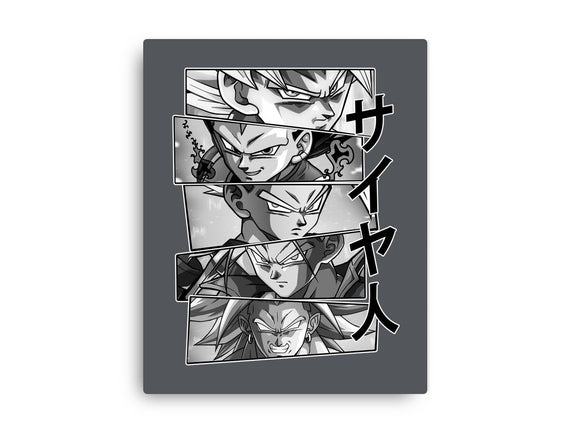 Saiyajin Heroes