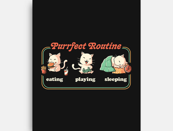 Purrfect Routine