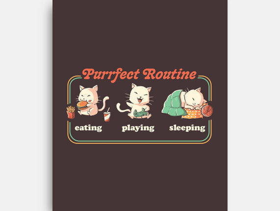 Purrfect Routine