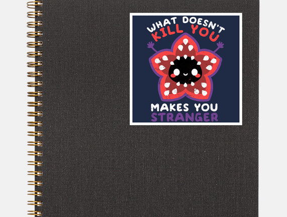Makes You Stranger