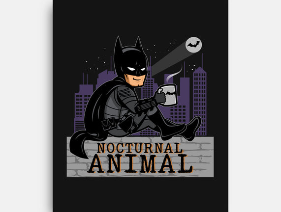 Nocturnal Animal