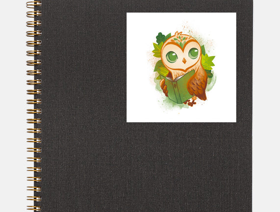 Book Owl