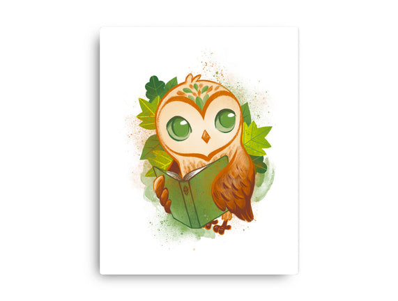 Book Owl