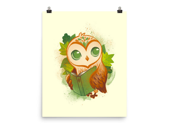 Book Owl