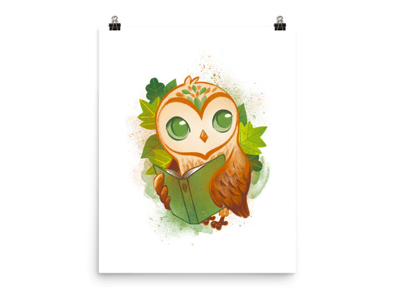 Book Owl
