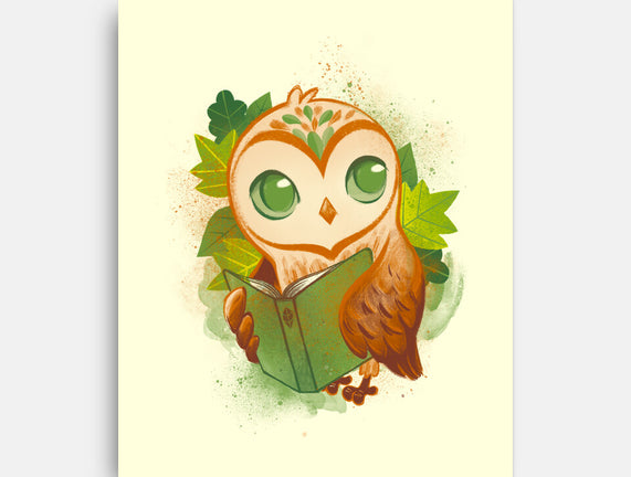 Book Owl