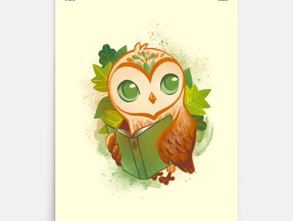 Book Owl
