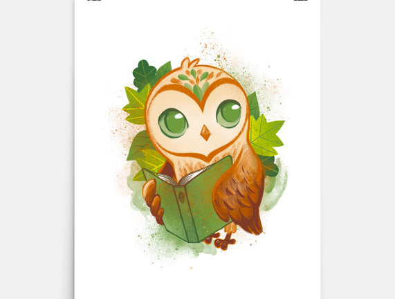 Book Owl