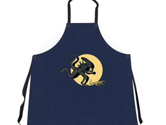 Xenomorph Adventures