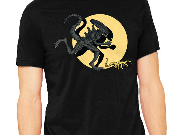 Xenomorph Adventures