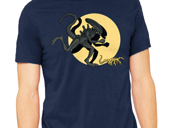 Xenomorph Adventures