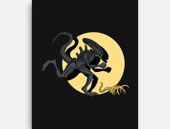 Xenomorph Adventures