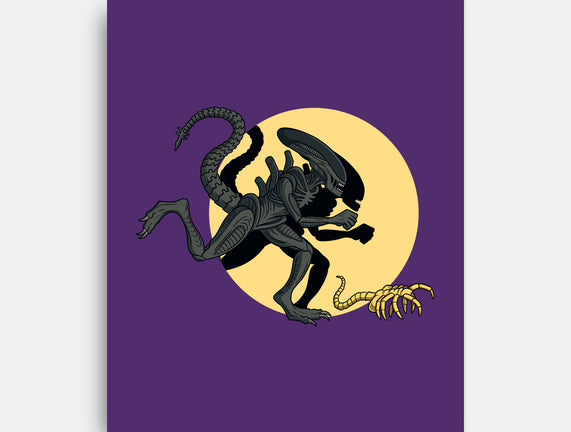 Xenomorph Adventures