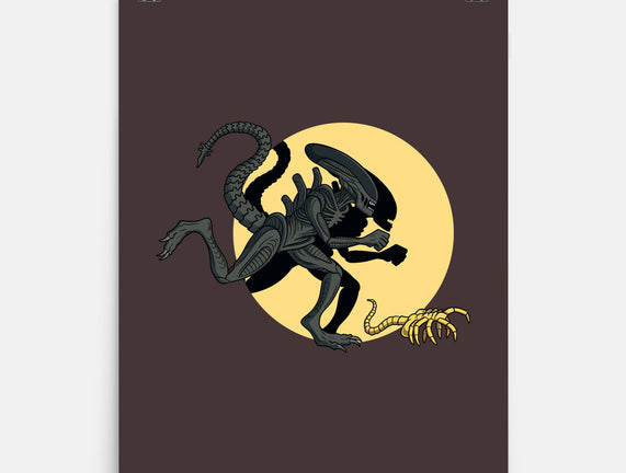 Xenomorph Adventures
