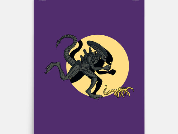 Xenomorph Adventures