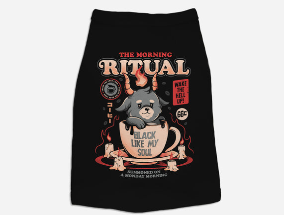 The Morning Ritual