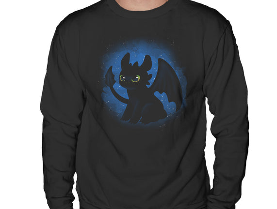 Night Fury