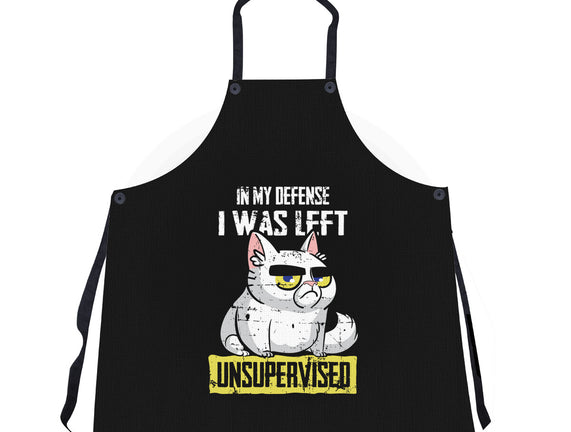 Unsupervised
