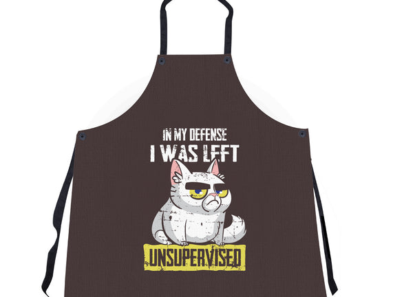Unsupervised