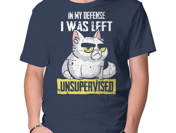 Unsupervised