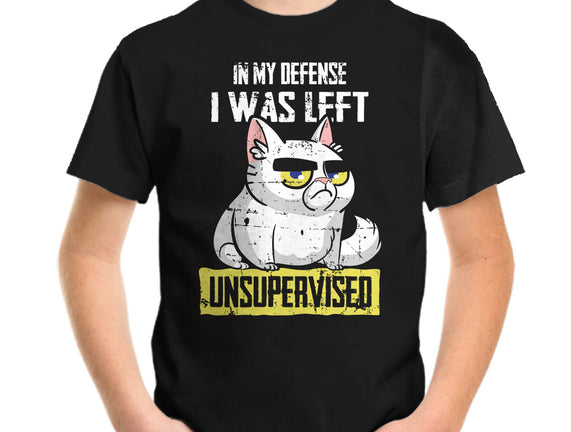 Unsupervised